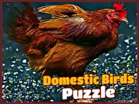 Domestic Birds Puzzle image