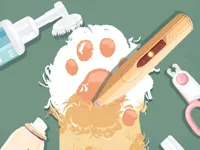 Storage Master image